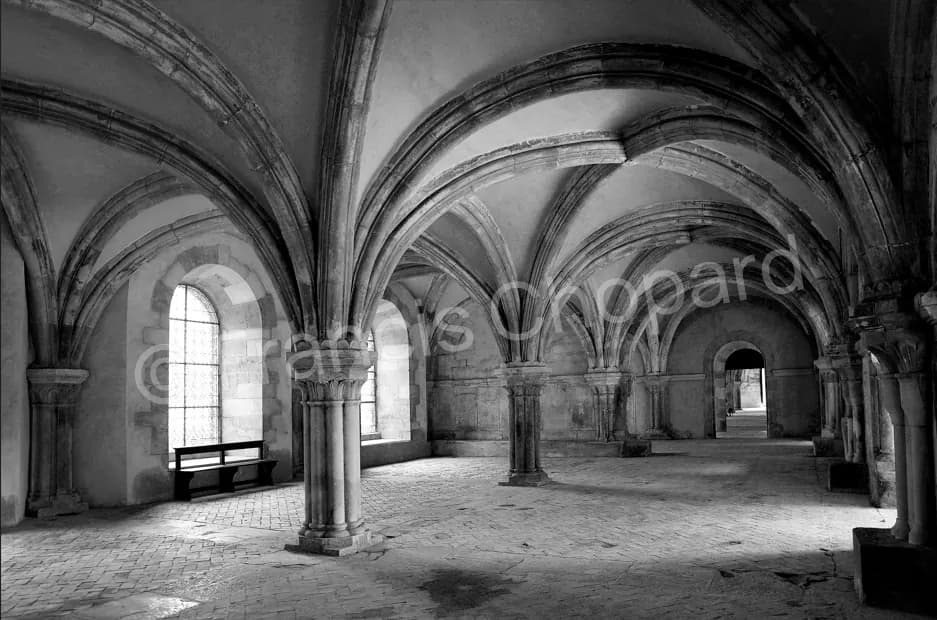Voûtes et colonnes de pierre dans un espace architectural, photographie en noir et blanc