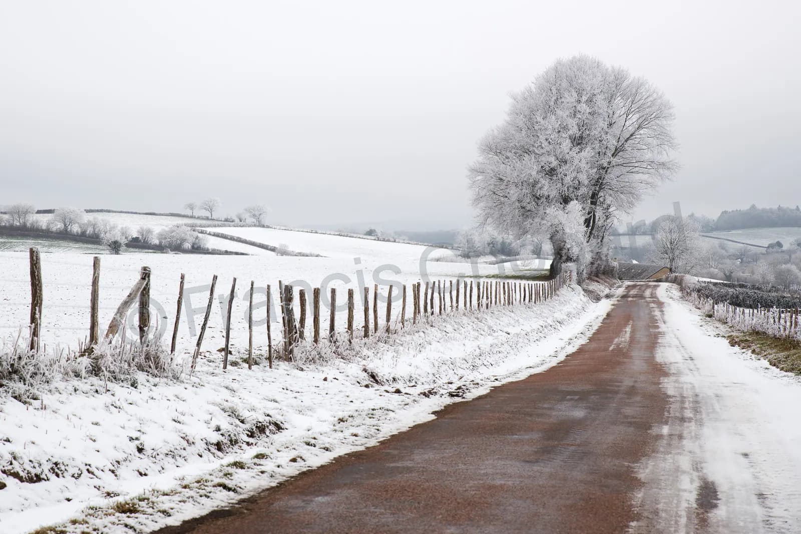 Route du Morvan bordée de clôtures et d’arbres givrés